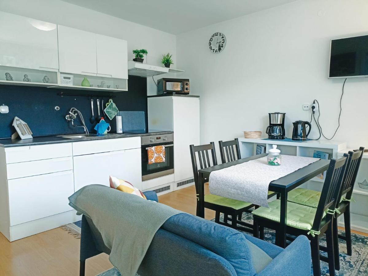 Apartmaji Sofia Марібор Екстер'єр фото