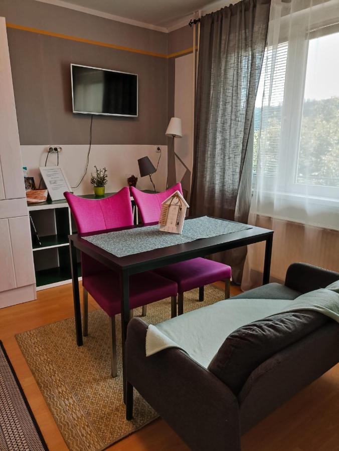Apartmaji Sofia Марібор Екстер'єр фото